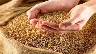 حقيقة استيراد مصر شحنات 