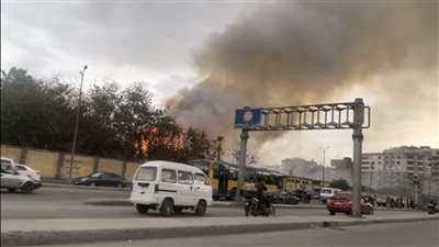 حريق في أشجار ونخيل بقطعة أرض بشبرا مصر