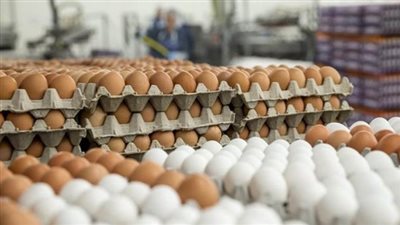 شعبة بيض المائدة: ضخ 300 ألف بيضة بمنافذ التموين  ‏