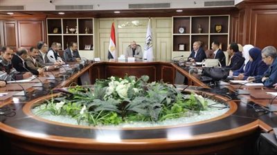محافظ بني سويف يناقش سبل تحسين منظومة الصرف الصناعي والصحي ببياض العرب