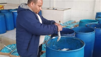 ضبط وإعدام 46 طن أغذية وغلق 394 منشأة مخالفة خلال شهر رمضان بالشرقية