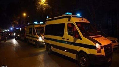 مريض نفسى يقتل شقيقه الأكبر بالدقهلية