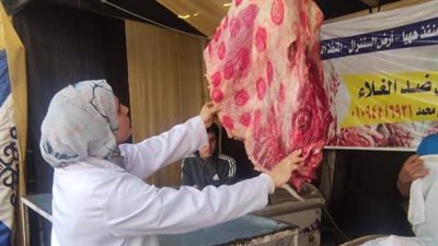 ضبط 6.5 طن لحوم ومصنعات دواجن وأسماك مجهولة المصدر بالشرقية