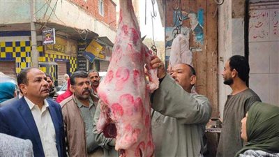 ضبط 113 مخالفة تموينية متنوعة بالمنيا