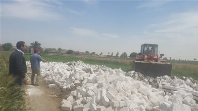 المنيا تتصدى للتعديات على الأراضي الزراعية 