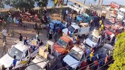 خبراء: الرباط المقدس فى خطر.. والتوسع فى مبادرات الأزهر هو الحل