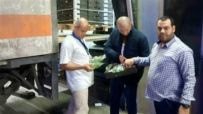   الحجر الزراعي يتابع أعماله خلال أيام عيد الفطر المبارك 