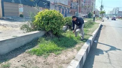  تكثيف حملات النظافة ورفع تراكمات القمامة من شوارع الشرقية 