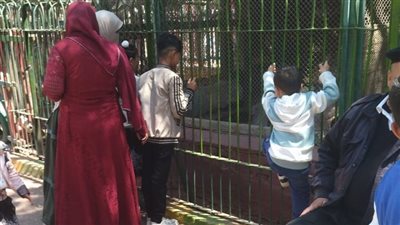 2000 مواطن يحتفلون بعيد الفطر المبارك في حديقة الحيوان بالزقازيق 