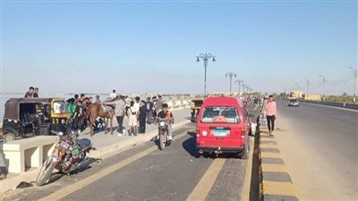 حملات للنظافة ومتابعة احتفالات المواطنين على شواطئ بحيرة قارون بالفيوم 