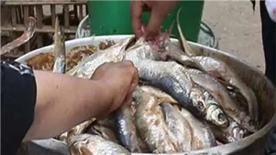     الفسيخ والرنجه سم قاتل تسبب فى اصابة 6 اشخاص بالتسمم فى الإسكندرية 