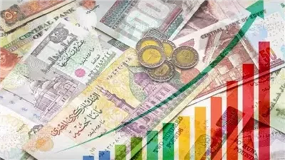 هدى الملاح: زيادة الموازنة في العام المالي الجديد بنسبة 20% منطقي (فيديو)