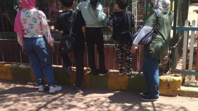 10500 مواطن يحتفلون بعيد الفطر المبارك في حديقة الحيوان بالزقازيق 