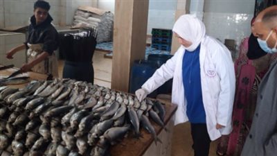 ضبط أسماك مملحة ومدخنة غير صالحة للاستهلاك الآدمي بالشرقية