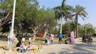 أهالي الشرقية يواصلون احتفالاتهم بعيد الفطر  في الحدائق والمنتزهات