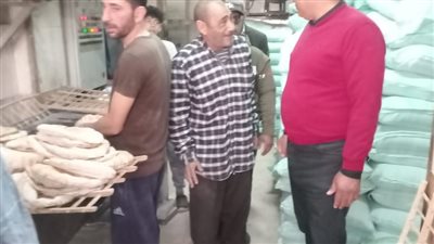 إحالة 172 مخالفة تموينية إلي النيابة العامة بالدقهلية