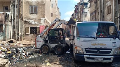 رفع 2500 طن قمامة وأتربة من شوارع الدقهلية