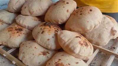 مخابز القاهرة تناشد 