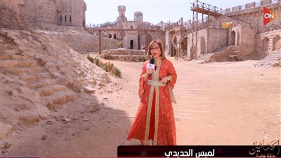 لميس الحديدي: فرقة 