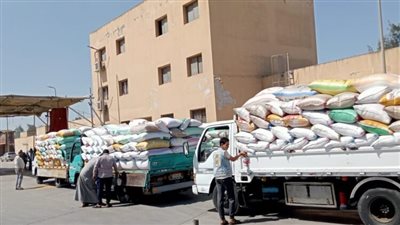 25 موقع لاستلام محصول القمح المحلي بكفر الشيخ