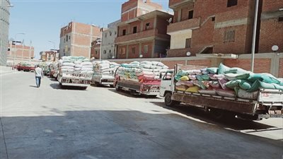 ننشر إستعدادت محافظة البحيرة لموسم حصاد القمح 