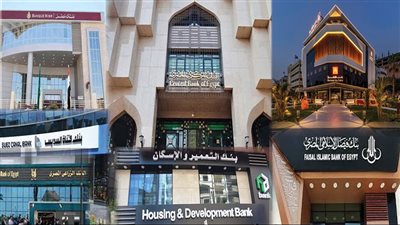 خبيرة مصرفية تكشف الفارق بين البنك الرقمي والبنوك التقليدية