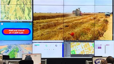 صور انطلاق موسم حصاد وتوريد القمح بالإسماعيلية