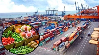 مصر تعزز مكانتها كمركز إقليمي للصادرات الزراعية.. خطوات نحو الاستدامة