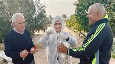تحصين 195 ألف طائر ضد مرض أنفلونزا الطيور والأمراض الوبائية بالشرقية 