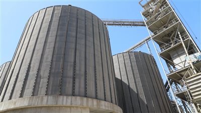  12 موقعا لإستلام القمح من المزارعين بالقليوبية