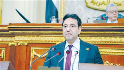النائب أيمن محسب: مصر تبذل جهوداً مخلصة لتجنيب المنطقة ويلات الحروب 