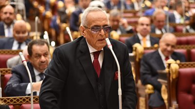 أبوشقة يطالب بإعادة هيكلة وإستراتيجية واضحة لتطوير صناعة القطن 