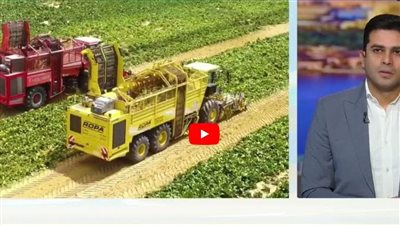 نصائح مهمة للمزارعين لتفادي أمراض المحاصيل مع تقلبات الطقس (شاهد)