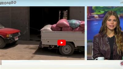 تموين الشرقية: زرعنا 394 ألف فدان بالقمح (شاهد)