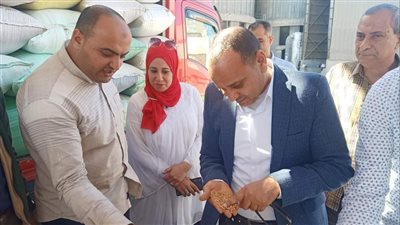 شون وصوامع الدقهلية تسقبل 578 طن و279 كيلو قمح