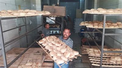 حملات مكثفة لتوحيد سعر الرغيف السياحى والفينو بواحد جنية بنجع حمادي