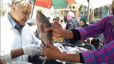 ضبط طن وربع أسماك فاسدة بالغربية 