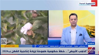بحوث القطن: زراعة 30 ألف فدان من محصول الذهب الأبيض هذا العام