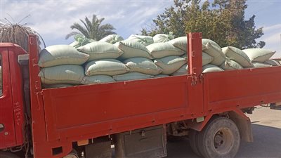 أسيوط تعلن بدء موسم توريد القمح لعام 2024 وتوريد 163 طن لـ28 موقعًا تخزينياً