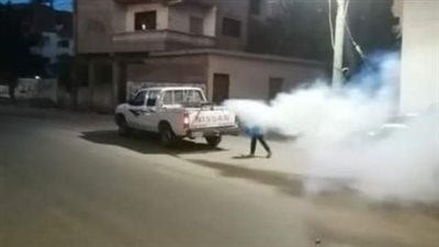 حملات مكثفة للقضاء على الحشرات الطائرة بالشرقية