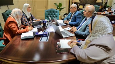 التضامن: 100 مليون جنيه لتغطية توزيع اللحوم على مدار العام الماضي