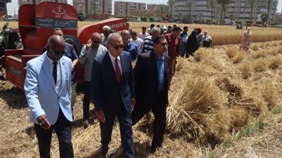 محافظ القليوبية يتابع بدء موسم توريد القمح بصوامع بنها