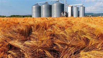 تموين القاهرة: السعة التخزينية للقمح بنطاق القاهرة تصل إلى ٤٦٠٠٠ طن