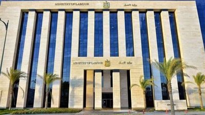 رفع أجور القطاع الخاص لـ 6 آلاف جنيه.. تفاصيل جديدة من وزارة العمل (فيديو)