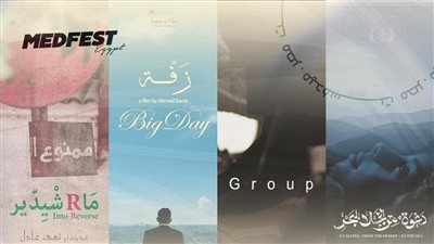 دمنهور تستضيف أول محطات 