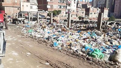 هنا الإسكندرية.. قاهرة المحافظين