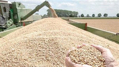 استراتيجية التنمية الزراعية تستهدف الوصول لـ70٪ من الاكتفاء الذاتى بحلول 2030