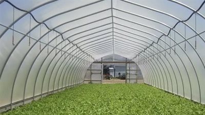 التغيرات المناخية تهدد المحاصيل الزراعية في مصر.. الصوب الزراعية حلول واعدة