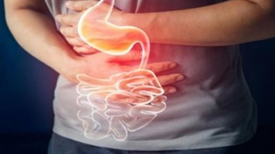 أبرزها فيتامين د.. 7 عناصر غذائية أساسية لصحة الأمعاء