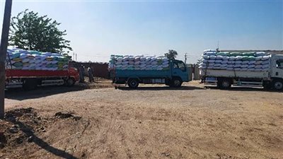 صوامع وشون الشرقية تفتح أبوابها لاستقبال 24093 طن من الذهب الأصفر